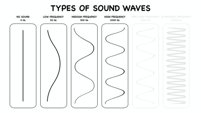 Animation of Educational types of sound waves from low frequency to ultrasonic. Diagrams illustrate different types of waveforms based on hz measurements for physics school education class