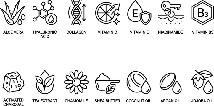Skincare active ingredient icon set featuring aloe vera collagen hyaluronic acid vitamins activated charcoal and essential oils