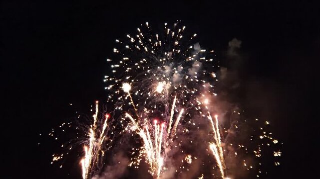 Realistic Fireworks Exploding in the Night Sky