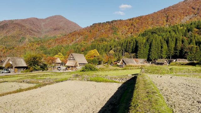 Scenic landscape view of traditional thatched roof houses and autumn foliage in Shirakawa-go village, Japan