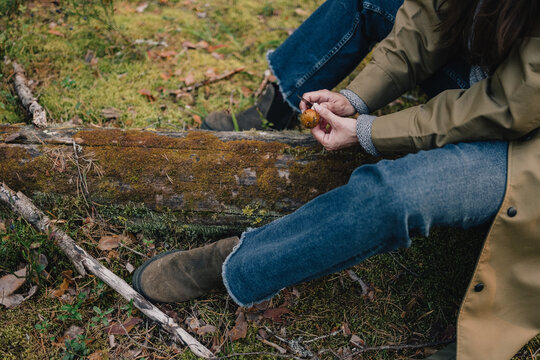 Person cleaning a freshly picked wild mushroom with a small knife while sitting on a mossy log in a pine forest during a seasonal mushroom foraging trip