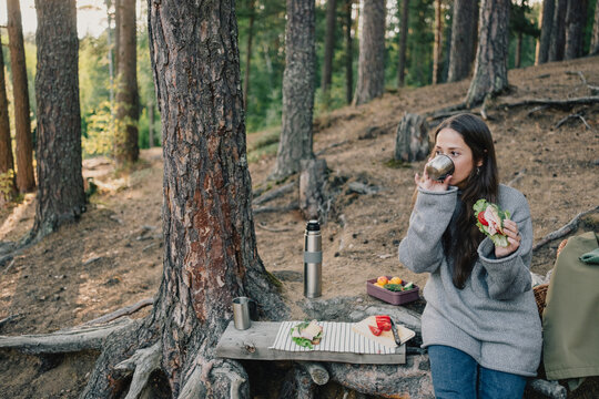 Woman drinking from a metal mug and holding a fresh sandwich while taking an outdoor lunch break in a pine forest with a thermos and packed food nearby