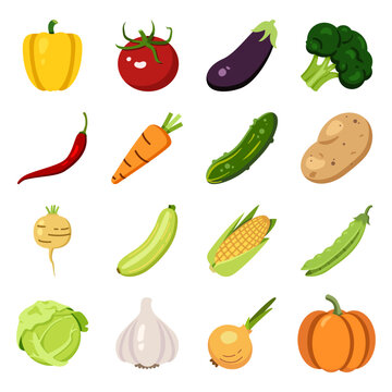 Vector Set of Color Vegetable Icons.