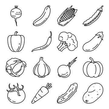 Vector Set of Outline Vegetable Icons
