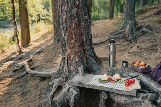 Outdoor picnic with sandwiches, fresh vegetables, fruit and thermos arranged beside a tree in a peaceful forest, creating a simple meal and nature getaway scene