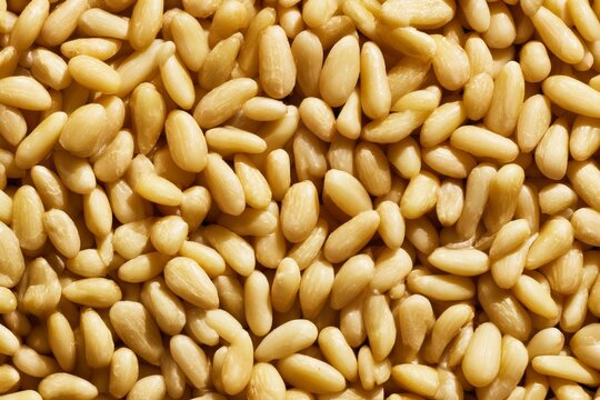 Close-up view of many pine nuts on a simple surface