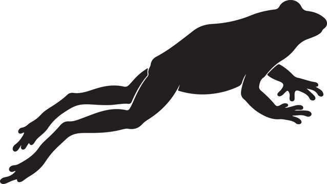 Silhouette of a jumping frog