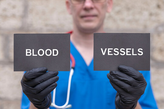 Healthcare concept of blood vessels. Blood vessels diseases and disorders treatment.