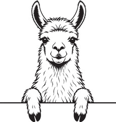 Naklejka premium cute llama alpaca peeking silhouette vector illustration