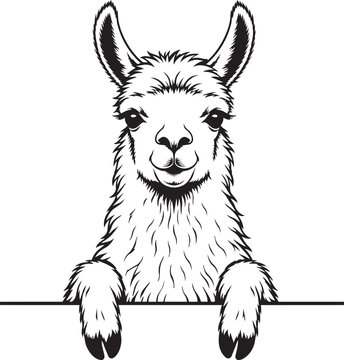 cute llama alpaca peeking silhouette vector illustration