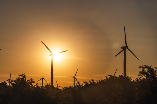 Silhouetted Wind Turbines at Golden Sunset