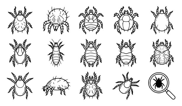 Tick and Parasite Line Icon Set with Spider Mites, Bedbugs, Fleas, and Human Crop Pests for Pest Control and Healthcare Graphic Designs