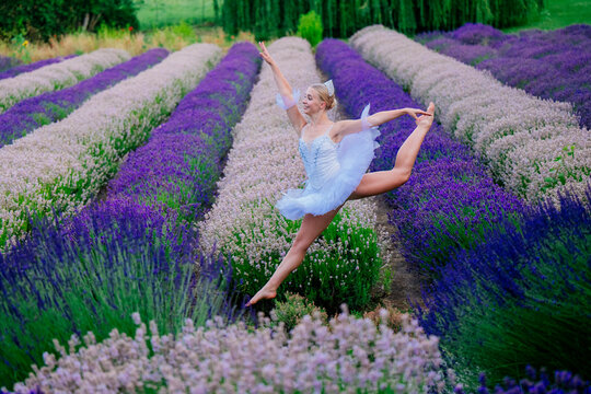 A ballet white dancer leaps elegantly through a lavender flower field