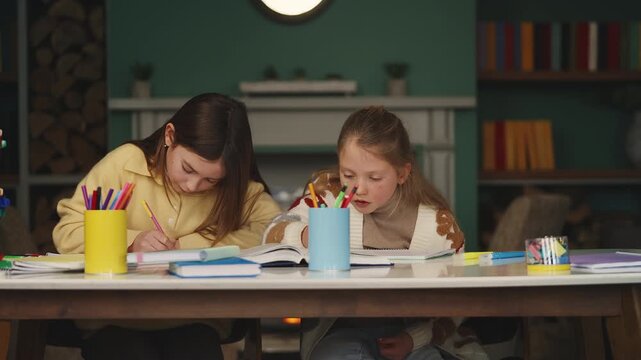 Focused schoolgirls prepare for an exam, doing homework and studying together