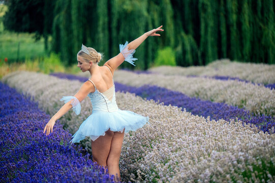 A ballerina dances gracefully in a lavender and flower field