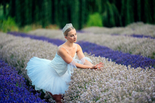 A ballet dancer in a white tutu poses gracefully in blooming lavender