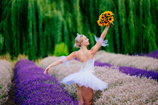 A white dancer performs in a lavender field holding sunflowers