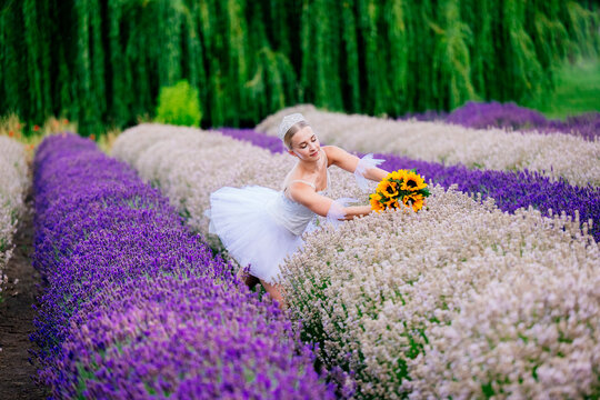 Female ballet white dancer picks sunflowers in colorful flower field