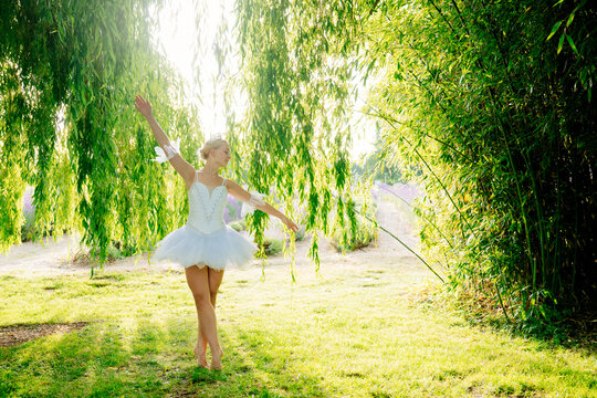 A ballerina dances gracefully outdoors under a weeping willow tree