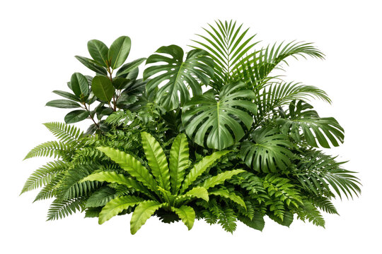 PNG Lush tropical foliage with various green leaves.