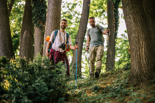 Two male hikers exploring a forest trail with backpacks and trekking poles