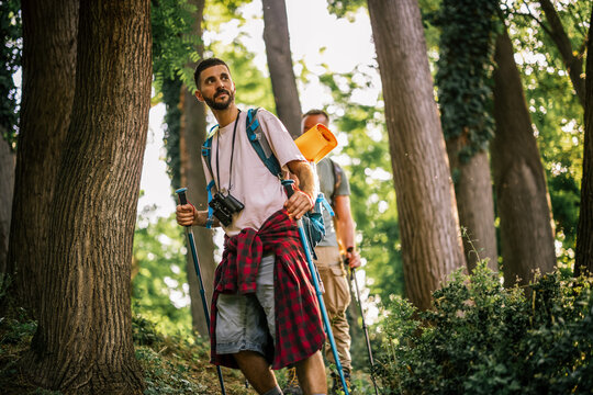 Hiker walking through a forest with trekking poles and a backpack