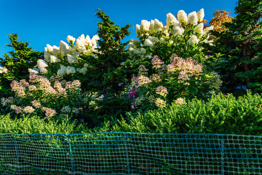 Home Flower Garden