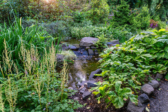Seatac Garden Stream 4