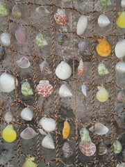Fototapeta premium Decorative Net with Colorful Sea Shells on Brick Wall