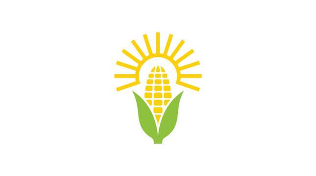 Flat corn cob vector illustration with sun rays and green leaves for agriculture and food logo.