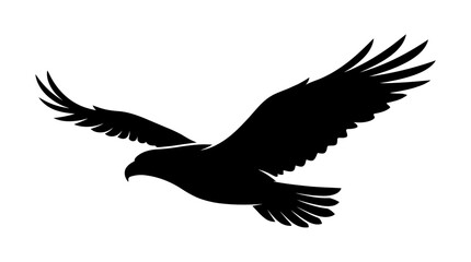 Fototapeta premium Black Eagle Silhouette Gliding in Flight with Fully Extended Wings on White Background
