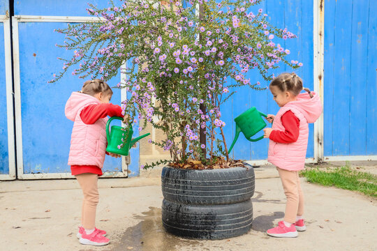 Two Young Girls In Pink Vests Water Flowering Shrub In Recycled Tire Planter Beside Bright Blue Wall, Creating Cheerful Outdoor Gardening Scene With Fresh Color, Simple Teamwork