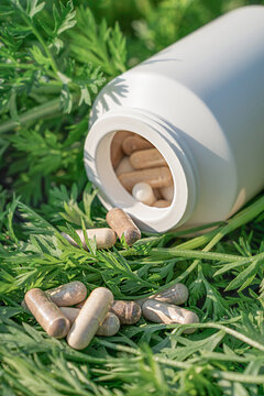 White, unlabeled bottle lies among green carrot tops, herbal capsules spilling out. Natural medicine, health, and organic supplements, fusion of pharmaceuticals and plant world