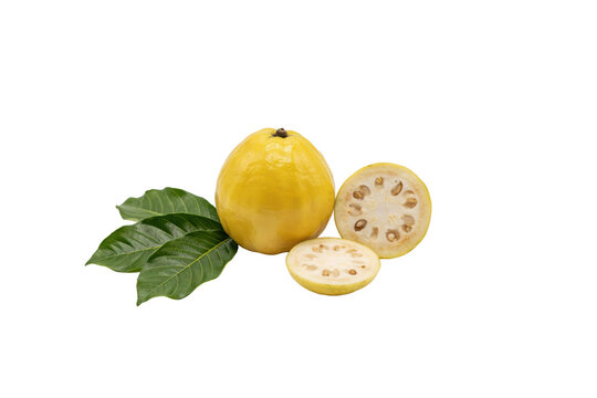 Whole and sliced yellow guava fruits with green leaves arranged on a plain white surface isolated on a transparent background