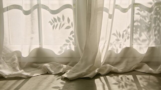 Sunlight shifting, sheer curtain showing leaf shadows sliding across window at home, pooling hem
