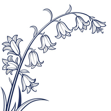 bluebell border frame vector