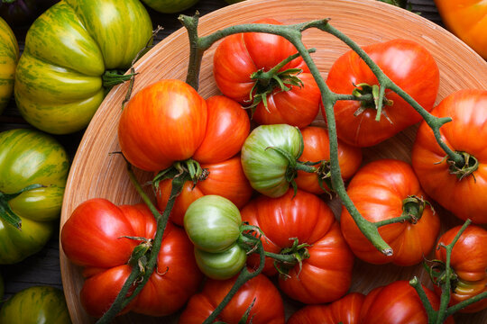 Close up of red tomatoes with green vine in round wooden bowl. Organic farm produce, healthy vegetarian ingredients