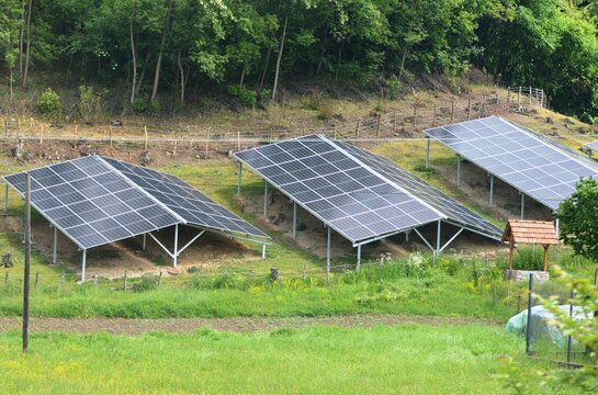 a large number of aligned panels