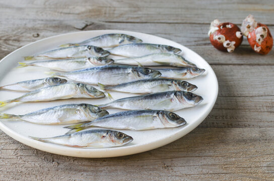 Fresh sardines with shiny silver scales are neatly arranged in rows on a white plate next to two fishing floats with bluefish. Selective focus. Fresh fish. Seafood. Horizontal orientation.