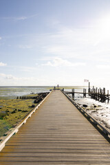 Obraz premium Wooden Boardwalk Leading Toward Wadden Sea at Low Tide on Texel island, Netherlands. 