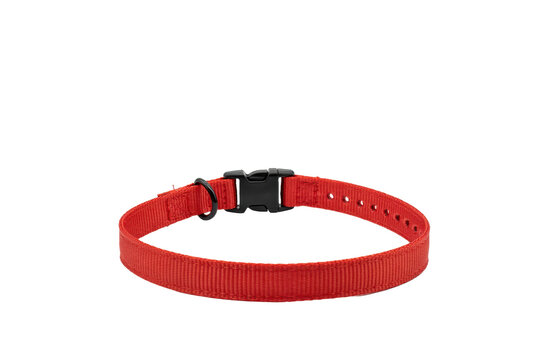Bright red nylon pet collar with black plastic buckle and metal d-ring isolated on a transparent background