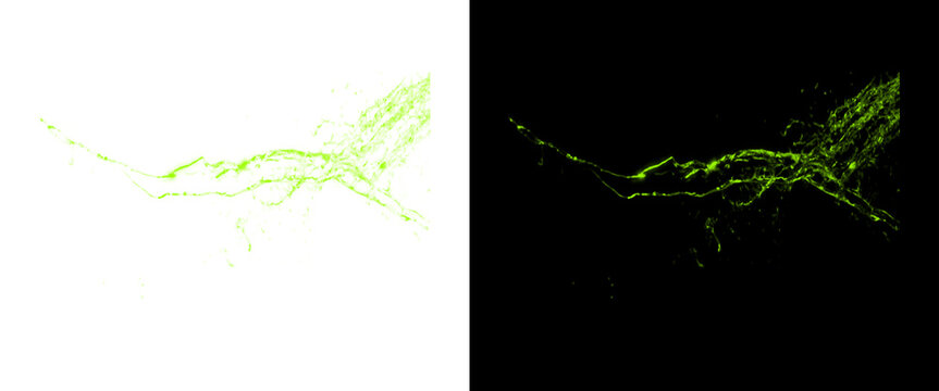 Abstract green liquid splash on split background, dynamic water splash in lime green, fluid motion design element