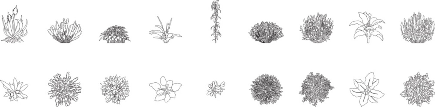 Cultivated plants and shrub collection, architectural tree, landscape, elevation, floor plan, blueprint, top and side view, editable stroke, vector