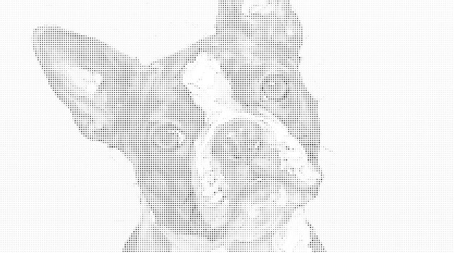 Abstract halftone portrait of a cute dog face created with black and white dots and geometric square patterns isolated on white background