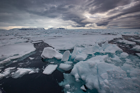 Arctic landscape featuring floating sea ice and snow-covered mountains under an overcast sky, landscape