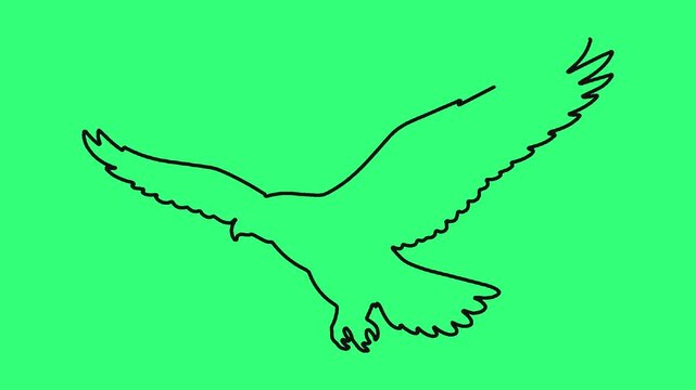 Continuous line drawing of eagle in flight animation on green background.