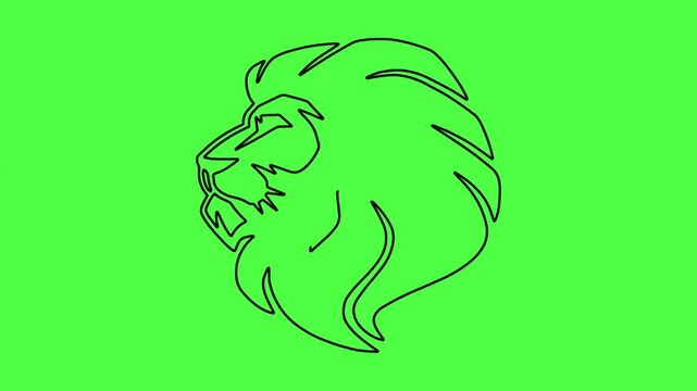 Minimalist lion line art drawing animation on green screen background.