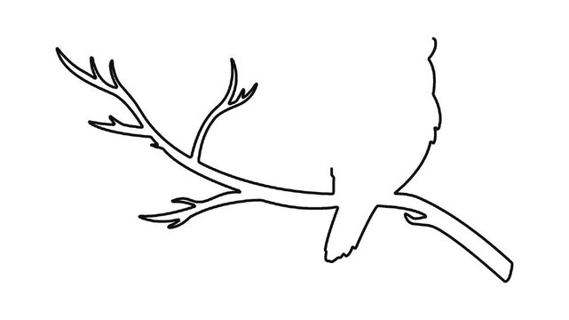 Continuous line drawing of an owl sitting on tree branch animal sketch.