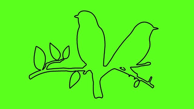 Continuous line art animation of two birds perched on branch green screen.