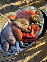 Colorful assortment of fresh fish, prawns, clams and oysters on metal platter, outdoor market and seaside dining atmosphere. © Anton Gvozdikov